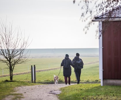 Duinbungalow Tjermelân 2 badkamers